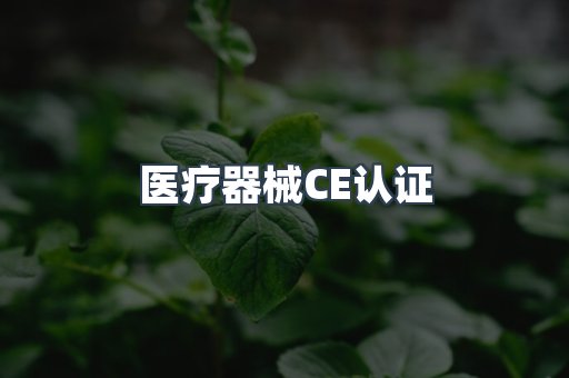 口罩防护类系列CE认证